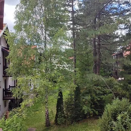 Apartment Jeca *